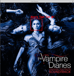 Vampire Diaries Poster