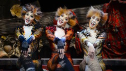 Cats Cast Members